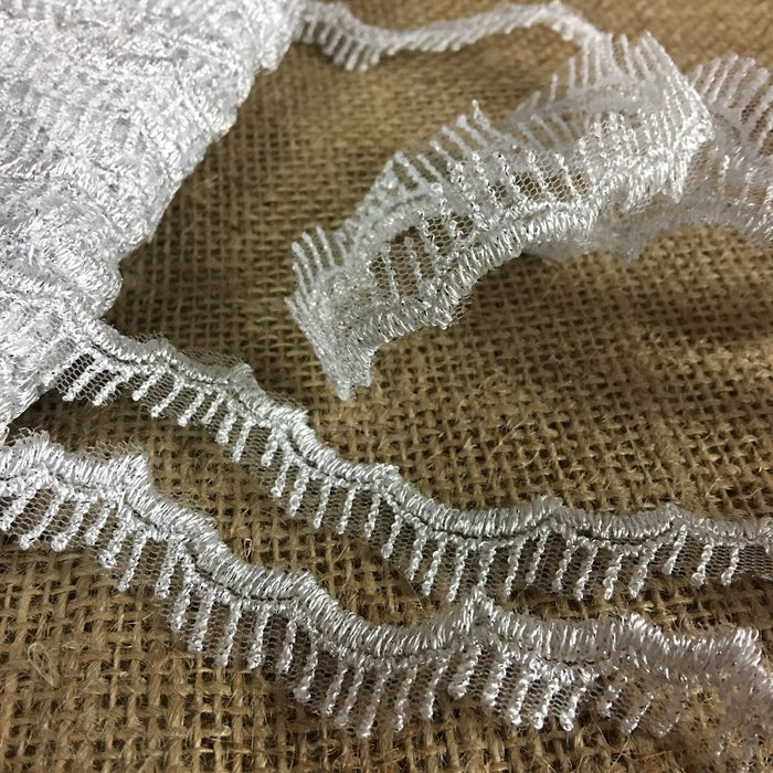 Scalloped Metallic Silver Trim Eyelash Lace Embroidered on Mesh Ground, 1" Wide. Garments Gowns Veils Bridal Costume Altar Decoration ⭐