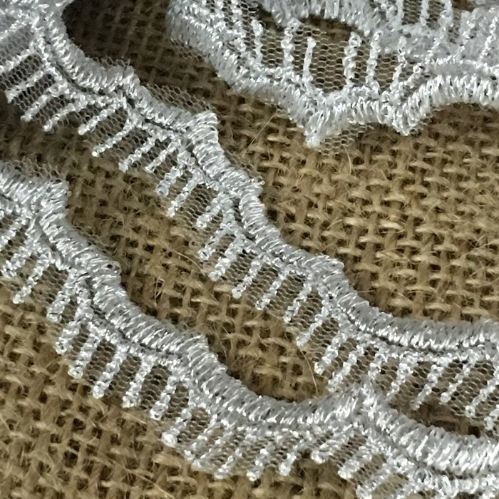 Scalloped Metallic Silver Trim Eyelash Lace Embroidered on Mesh Ground, 1" Wide. Garments Gowns Veils Bridal Costume Altar Decoration ⭐