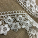 Lace Trim Daisy Dance Venise, 2" Wide, Choose Color. Multi-Use Garments Bridal DIY Sewing Slip Extender Crafts Veils Costumes Scrapbook