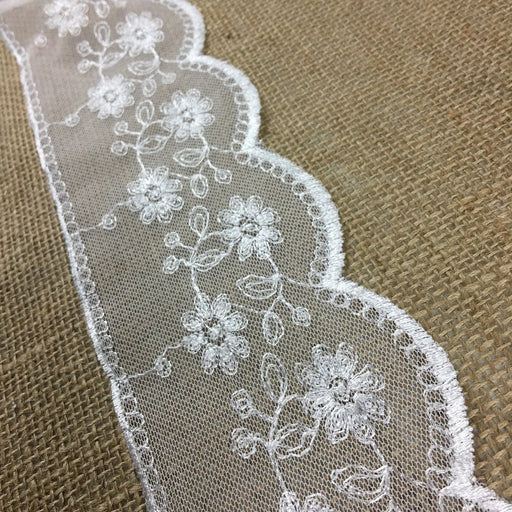 20 Yards Sheer Lace Trims, 11.8(30cm) Super Wide Embroidered Floral  Trimming, Mesh Fabric Lace for Dress Sewing